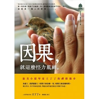 因果，就这么怪力乱神：小提琴家王丁丁的禅修漫步 pdf epub mobi 电子书 下载