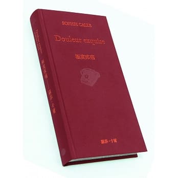 极度疼痛 pdf epub mobi 电子书 下载