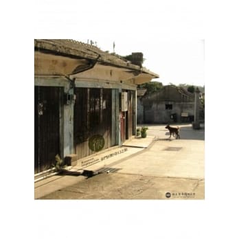 恋金术：金门田野奇幻之旅 pdf epub mobi 电子书 下载