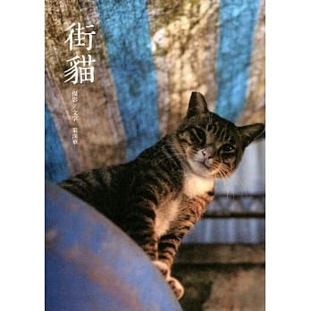 街猫 pdf epub mobi 电子书 下载