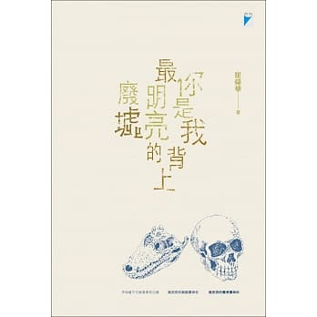 你是我背上最明亮的废墟 pdf epub mobi 电子书 下载
