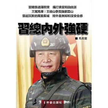 习总内外强硬 pdf epub mobi 电子书 下载