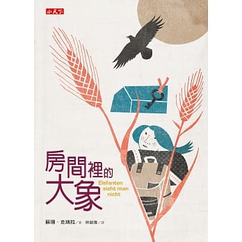 房间里的大象 pdf epub mobi 电子书 下载