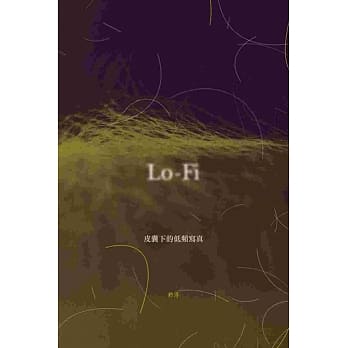 Lo-Fi pdf epub mobi 电子书 下载