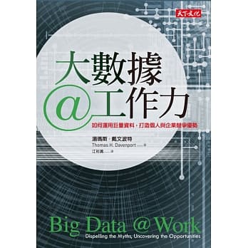 大数据@工作力：如何运用巨量资料，打造个人与企业竞争优势 pdf epub mobi 电子书 下载
