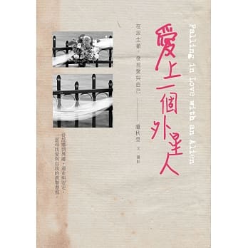 爱上一个外星人：在波士顿，发现爱与自己 pdf epub mobi 电子书 下载