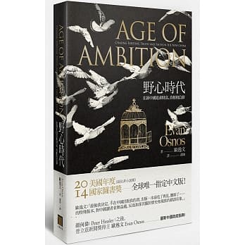 野心时代：在新中国追求财富、真相和信仰 pdf epub mobi 电子书 下载