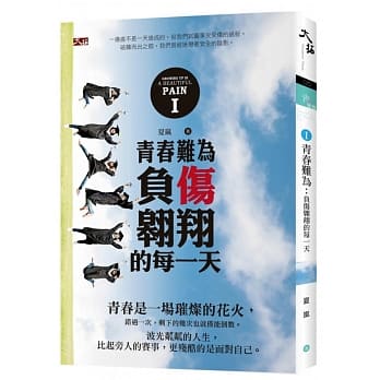 青春难为：负伤翱翔的每一天 pdf epub mobi 电子书 下载