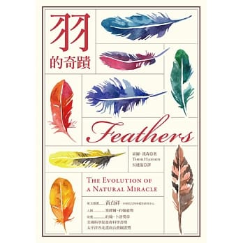 羽的奇蹟 pdf epub mobi 电子书 下载