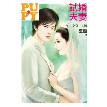 试婚夫妻 pdf epub mobi 电子书 下载