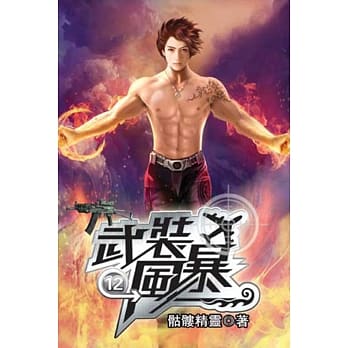 武装风暴12 pdf epub mobi 电子书 下载