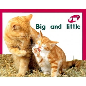 PM Plus Magenta (2) Big and Little pdf epub mobi 电子书 下载