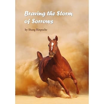 Braving the Storm of Sorrows pdf epub mobi 电子书 下载