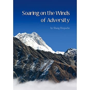 Soaring on the Winds of Adversity pdf epub mobi 电子书 下载