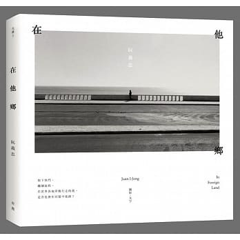 在他乡 pdf epub mobi 电子书 下载