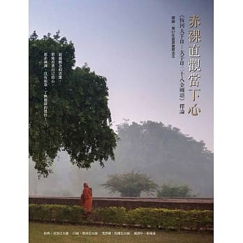 赤裸直观当下心：《恆河大手印：大手印二十八金刚颂》释论 pdf epub mobi 电子书 下载