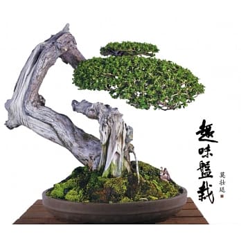 趣味盘栽〈简体书〉 pdf epub mobi 电子书 下载