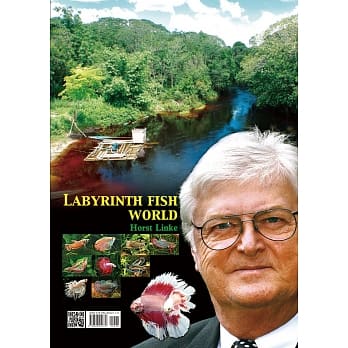 Labyrinth Fish World pdf epub mobi 电子书 下载