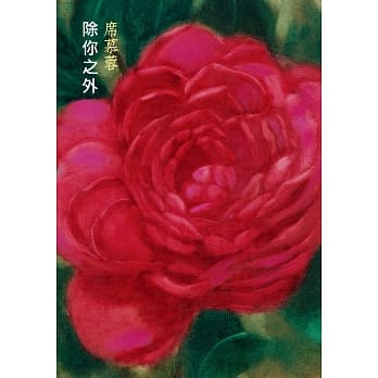 除你之外 pdf epub mobi 电子书 下载
