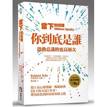 当下的觉醒：你到底是谁？启动意识的更高层次（全新纪念版） pdf epub mobi 电子书 下载