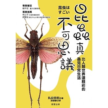 昆虫真不可思议：比人类世界还精采的虫儿日常生活 pdf epub mobi 电子书 下载