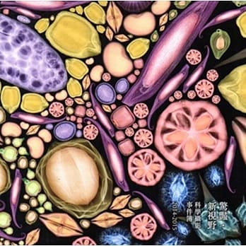 惊艳．新视野：科学摄影事件簿2014-2015 pdf epub mobi 电子书 下载