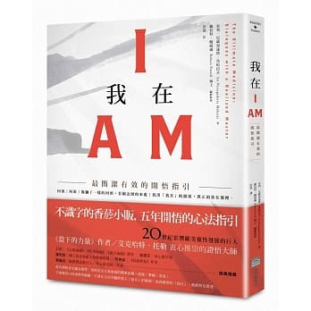 我在I AM：最简洁有效的开悟指引 pdf epub mobi 电子书 下载
