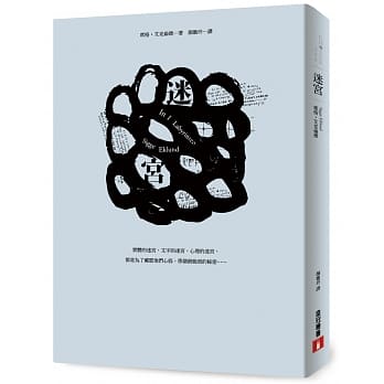 迷宫 pdf epub mobi 电子书 下载