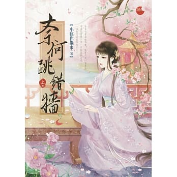 奈何跳错墙 上 pdf epub mobi 电子书 下载