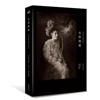 光照微尘 pdf epub mobi 电子书 下载