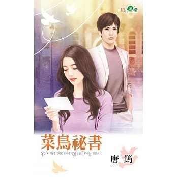菜鸟祕书 pdf epub mobi 电子书 下载