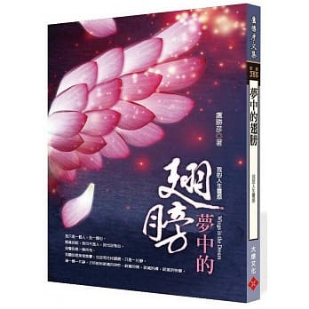 梦中的翅膀：我的人生灵感 pdf epub mobi 电子书 下载