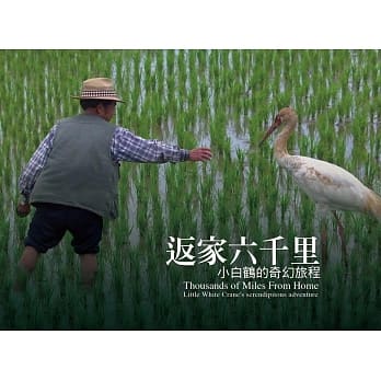 返家六千里：小白鹤的奇幻旅程 pdf epub mobi 电子书 下载