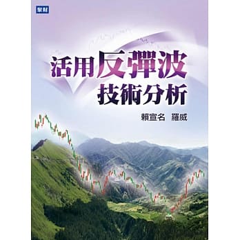 活用反弹波技术分析 pdf epub mobi 电子书 下载