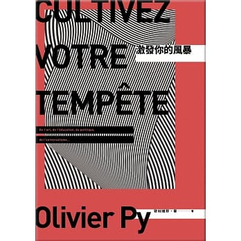 激发你的风暴 pdf epub mobi 电子书 下载