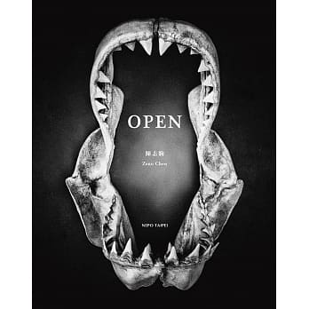 OPEN pdf epub mobi 电子书 下载