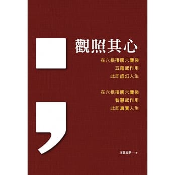 观照其心 pdf epub mobi 电子书 下载