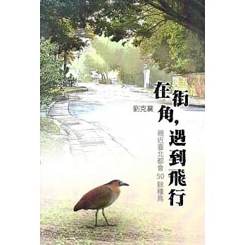 在街角，遇到飞行 pdf epub mobi 电子书 下载