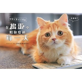 在捣蛋中陪你度过每一天：猫奴养成手册 pdf epub mobi 电子书 下载