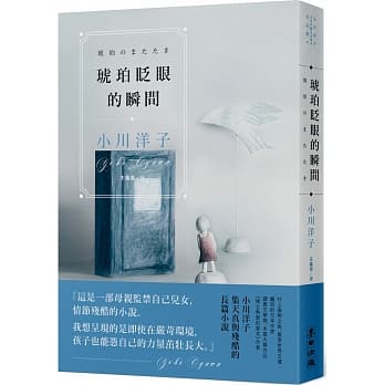 琥珀眨眼的瞬间（《博士热爱的算式》作者最新长篇） pdf epub mobi 电子书 下载