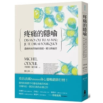 疼痛的隐喻：透视疾病背后的情绪、压力与痛苦(二版) pdf epub mobi 电子书 下载