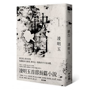 缺口 pdf epub mobi 电子书 下载