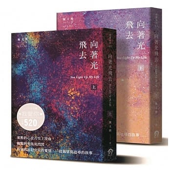 向着光飞去 (上下册) pdf epub mobi 电子书 下载