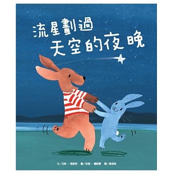 流星划过天空的夜晚 pdf epub mobi 电子书 下载