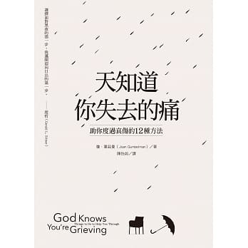 天知道你失去的痛：助你度过哀伤的12种方法 pdf epub mobi 电子书 下载
