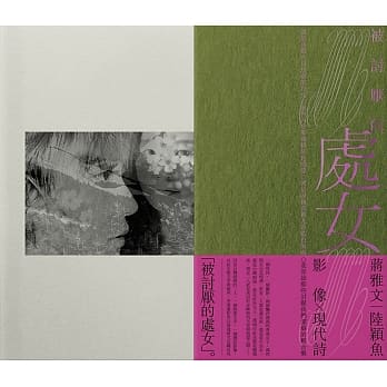 被讨厌的处女：影像x现代诗 pdf epub mobi 电子书 下载