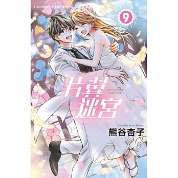 片翼迷宫 9 pdf epub mobi 电子书 下载