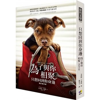 只想回到你身边（电影【为了与你相聚】原着） pdf epub mobi 电子书 下载