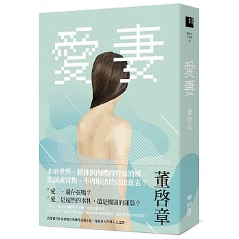 爱妻 pdf epub mobi 电子书 下载