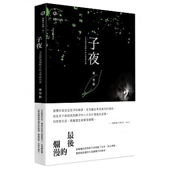 子夜：文化研究视野中的文学与社会 pdf epub mobi 电子书 下载